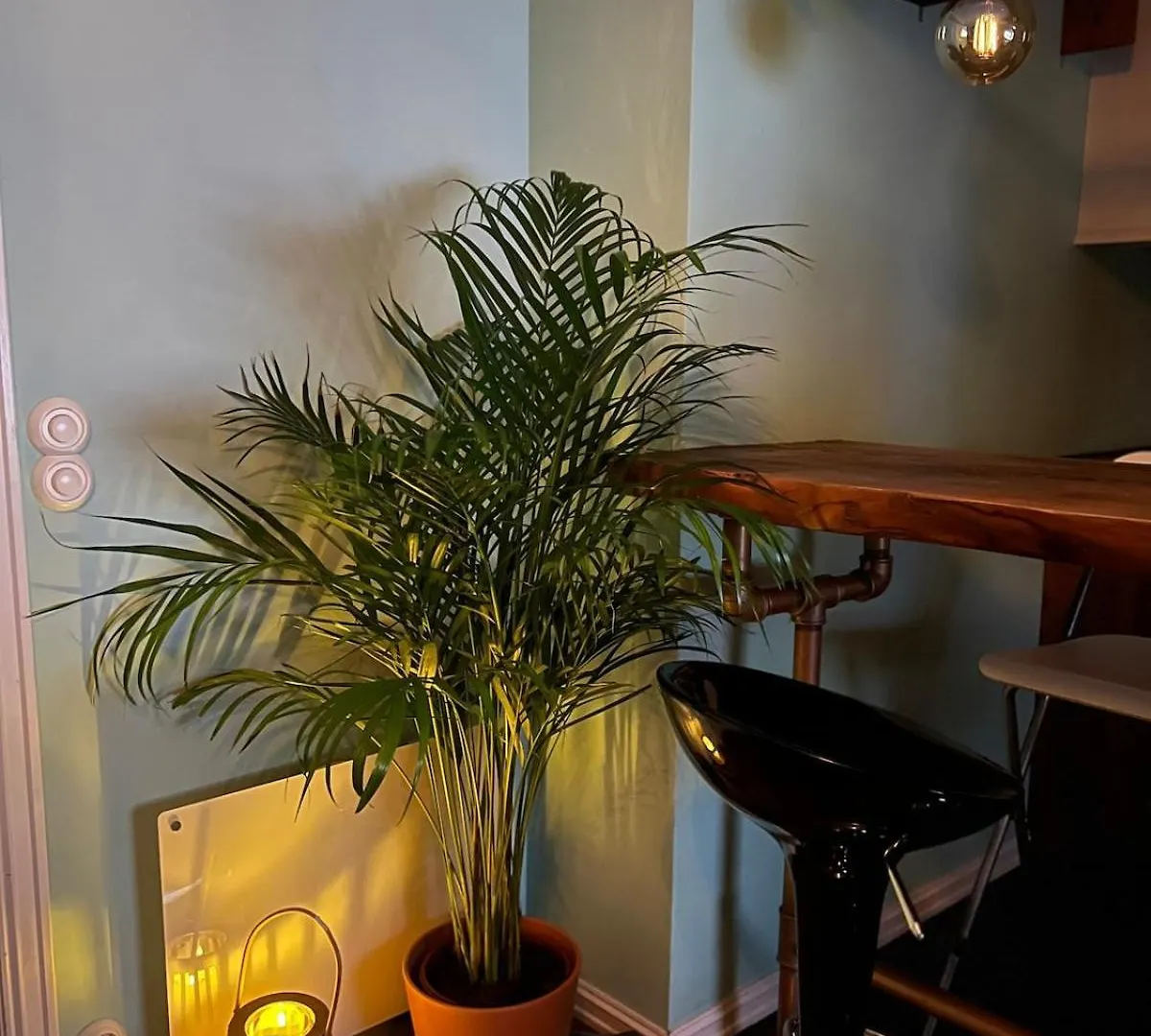 Cozy Apartment In City Center Bergen